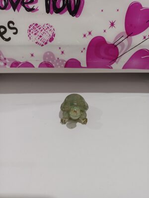 Tortuga Aventurina