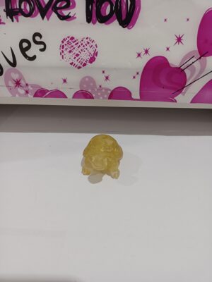 Tortuga citrino