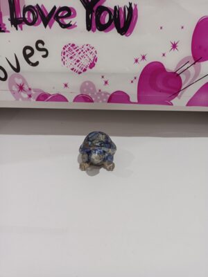 Tortuga Lapislázuli