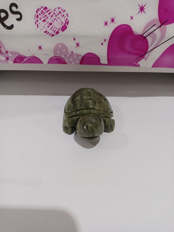 Tortuga Jade